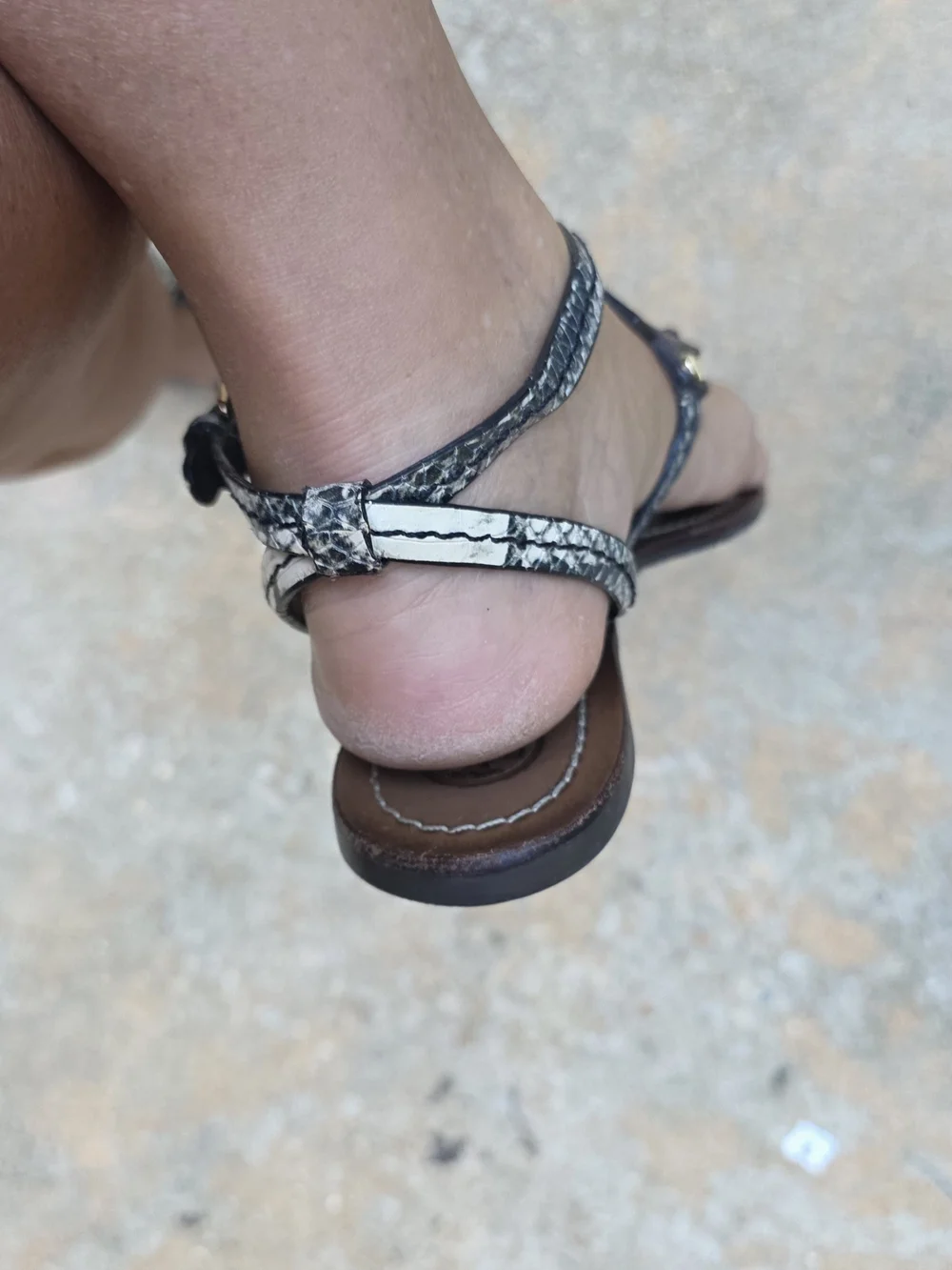 Tory Burch Brown Leather Miller T-Strap Sandals